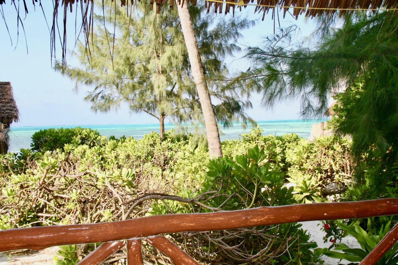 Garden Beach Bungalows Jambiani  Εξωτερικό φωτογραφία