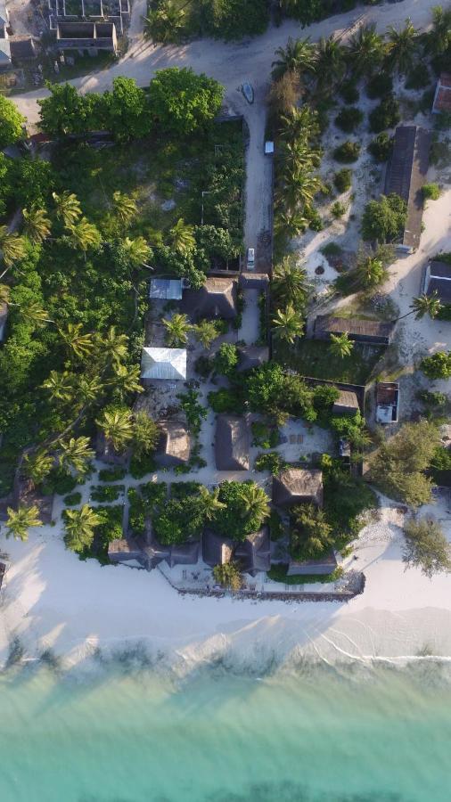 Garden Beach Bungalows Jambiani  Εξωτερικό φωτογραφία